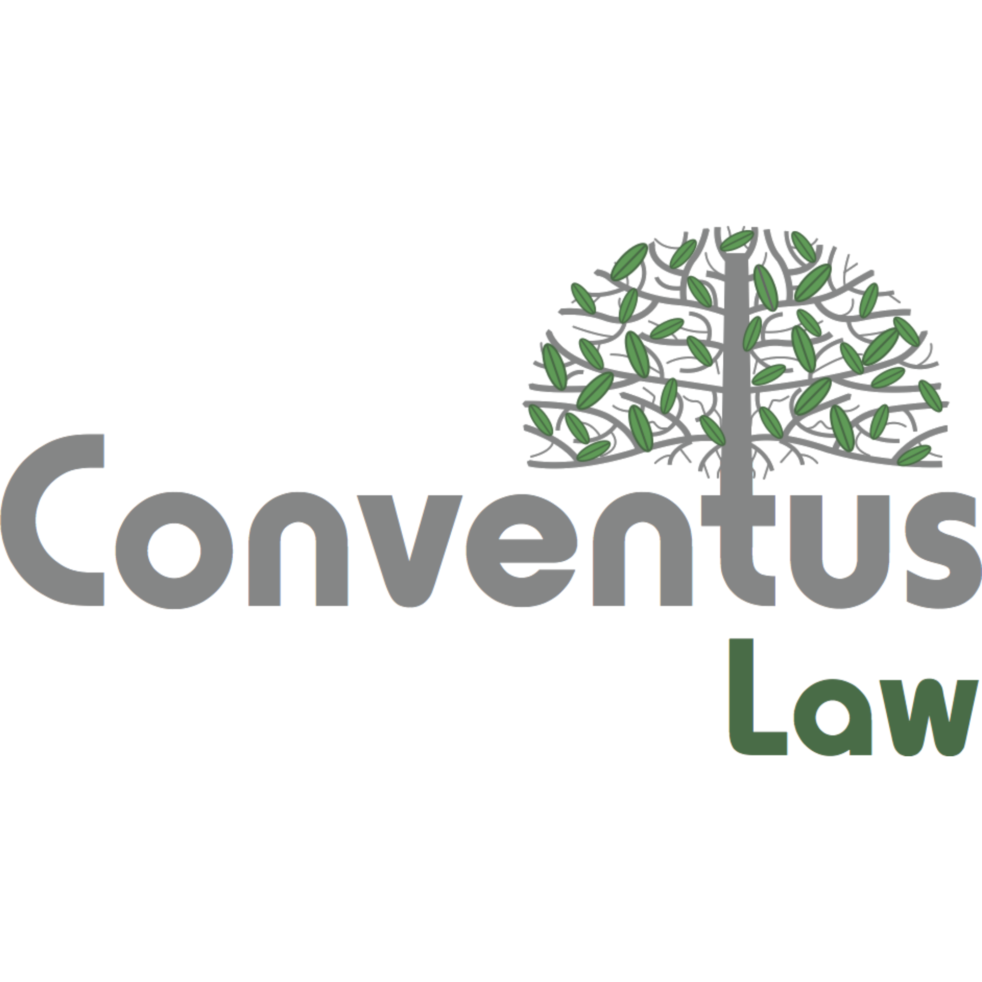 Conventus Law
